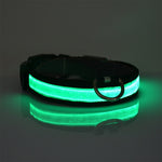 Load image into Gallery viewer, Nylon Pet Dog Collar LED Light Night Safety Light-up Flash Glowing Cat Collar Dog Collars
