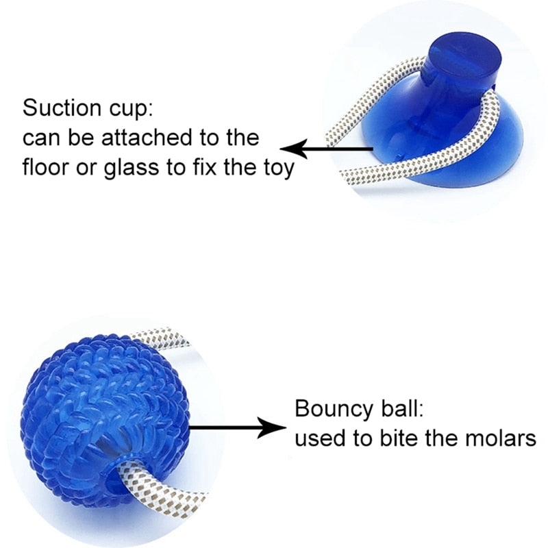 Multifunction Pet Molar Bite Toy  Interactive fun Pet toy with suction cup dog push toy with TPR ball Pet Tooth Cleaning,Chewing