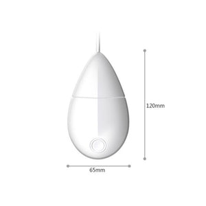 Mini Ultrasonic Bubble Efficient Remove Stains Pet Product Cleaning Dog Cat Carrier Bag Collar Leash Clothes Wash Machine Tool