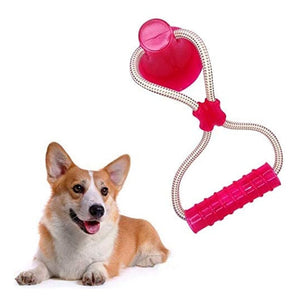 1PCS Pet Molar Toy Self-playing Rubber Ball Toy With Suction Cup Dog Interactive Molar Chew Toy Teeth Cleaning Tool