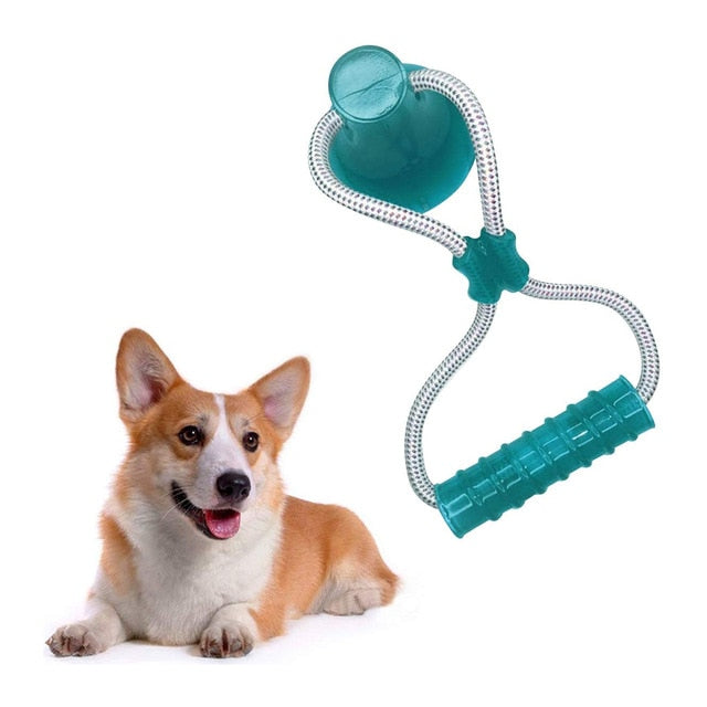 1PCS Pet Molar Toy Self-playing Rubber Ball Toy With Suction Cup Dog Interactive Molar Chew Toy Teeth Cleaning Tool