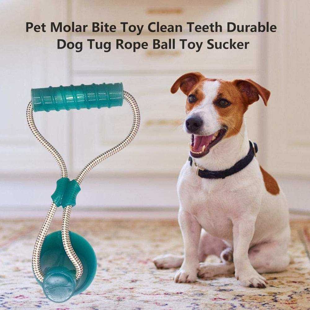 1PCS Pet Molar Toy Self-playing Rubber Ball Toy With Suction Cup Dog Interactive Molar Chew Toy Teeth Cleaning Tool