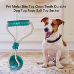 Load image into Gallery viewer, 1PCS Pet Molar Toy Self-playing Rubber Ball Toy With Suction Cup Dog Interactive Molar Chew Toy Teeth Cleaning Tool
