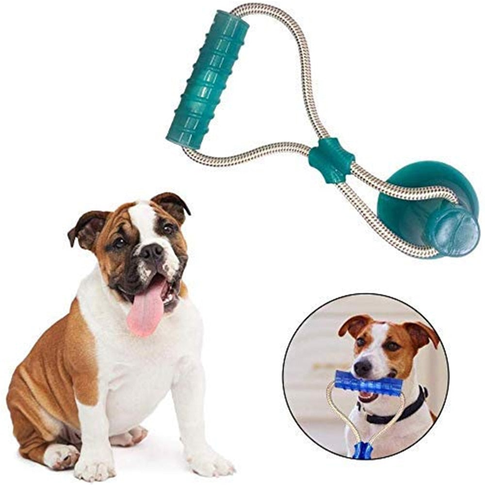 1PCS Pet Molar Toy Self-playing Rubber Ball Toy With Suction Cup Dog Interactive Molar Chew Toy Teeth Cleaning Tool