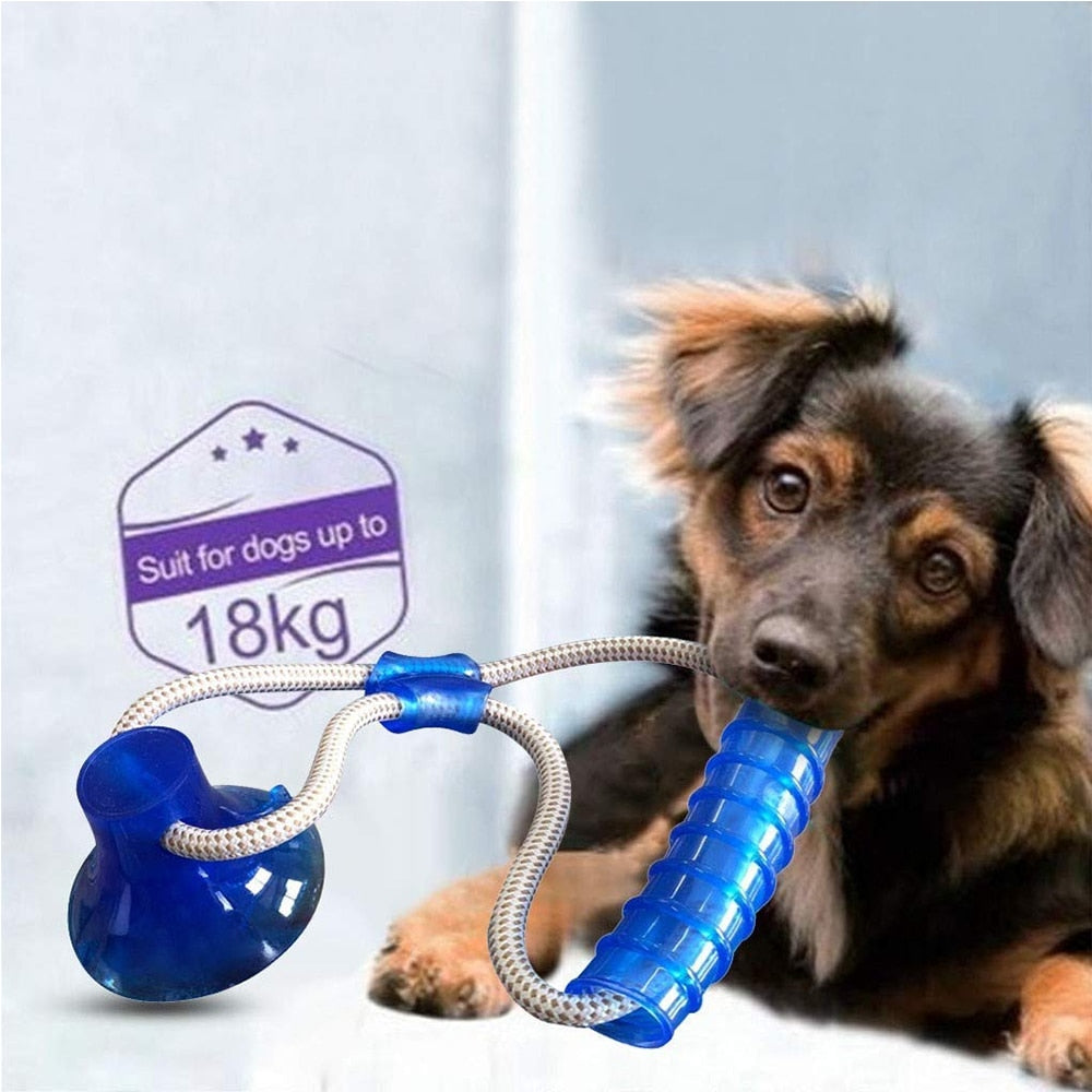 1PCS Pet Molar Toy Self-playing Rubber Ball Toy With Suction Cup Dog Interactive Molar Chew Toy Teeth Cleaning Tool