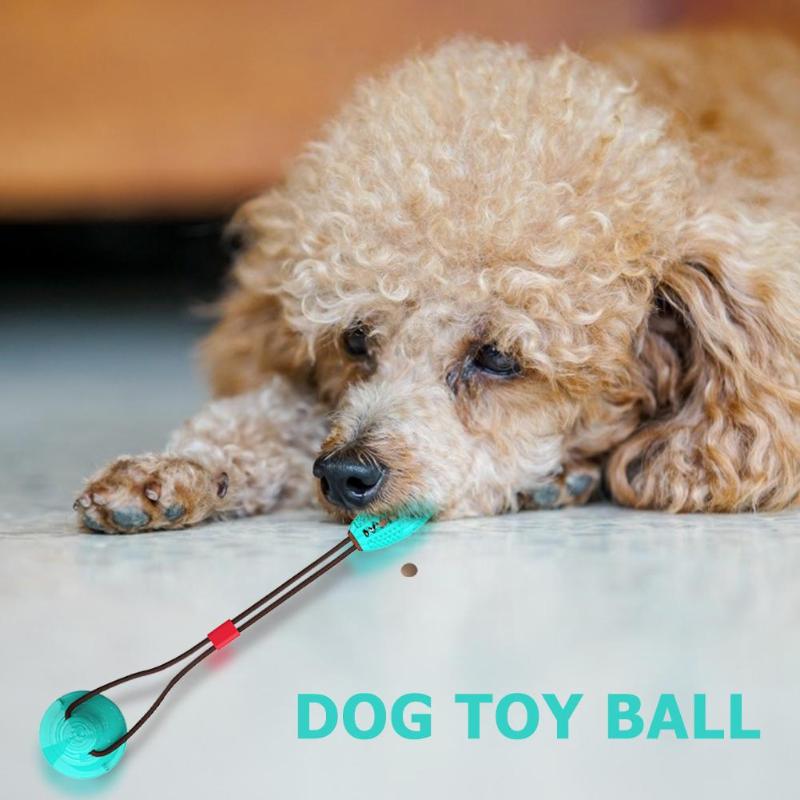 Multi-function Dog Pet Molar Ball Teeth Grinder Rubber Suction Cup Chew Biting Toy Pet Grinding Teeth Product Pet Training Toys