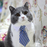 Load image into Gallery viewer, Cute Pet Ties, Dog Collar Cat Collar, Pet Bow Ties, Dog Tie, Smart Looking Pet Costume
