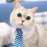 Load image into Gallery viewer, Cute Pet Ties, Dog Collar Cat Collar, Pet Bow Ties, Dog Tie, Smart Looking Pet Costume
