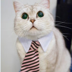 Load image into Gallery viewer, Cute Pet Ties, Dog Collar Cat Collar, Pet Bow Ties, Dog Tie, Smart Looking Pet Costume
