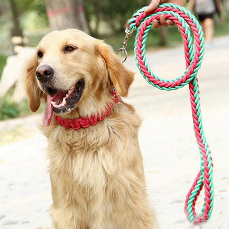 1.5*110 Strong Pet Dog Braided Nylon Durable Dog Leash Lead Heavy Duty Anti-slip Rope Stereotyped Rope Collar Set