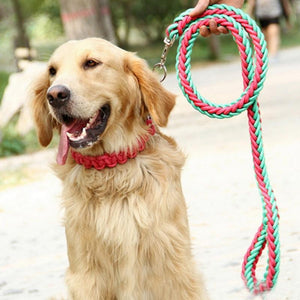 1.5*110 Strong Pet Dog Braided Nylon Durable Dog Leash Lead Heavy Duty Anti-slip Rope Stereotyped Rope Collar Set