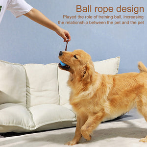 Dog Interactive Natural Rubber Ball Puppy Chew Toy Food Dispenser Ball Bite-Resistant Clean Teeth Pet Playing Balls Pet Dog Toys