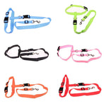 Load image into Gallery viewer, Attractive Traction Pulling Leash Pet Dog Running Jogging Convenient Safe Fashional Goods for pets
