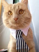 Load image into Gallery viewer, Cute Pet Ties, Dog Collar Cat Collar, Pet Bow Ties, Dog Tie, Smart Looking Pet Costume
