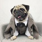 Load image into Gallery viewer, Dog Cat Clothes Wedding Party Suits For Small Dogs Cat Pet Tuxedo Dog Coat Pet Costume
