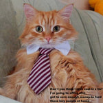 Load image into Gallery viewer, Cute Pet Ties, Dog Collar Cat Collar, Pet Bow Ties, Dog Tie, Smart Looking Pet Costume
