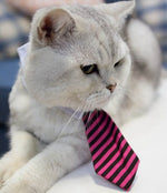 Load image into Gallery viewer, Cute Pet Ties, Dog Collar Cat Collar, Pet Bow Ties, Dog Tie, Smart Looking Pet Costume
