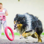 Load image into Gallery viewer, Dog Flying Discs Pet Training Ring Interactive Training Dog Toy Portable Outdoors Large Dog Toys Pet Products Motion Tools
