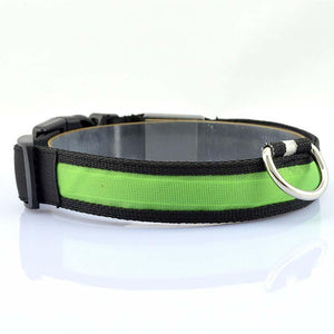 Nylon Pet Dog Collar LED Light Night Safety Light-up Flash Glowing Cat Collar Dog Collars