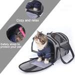 Load image into Gallery viewer, Dog Carrier Multi-functional Folding Pet Puppy Dog Cat Car Seat Basket Mat Cage Safe Carry Seat Cat Bag Pet Shoulder Bag Carrier
