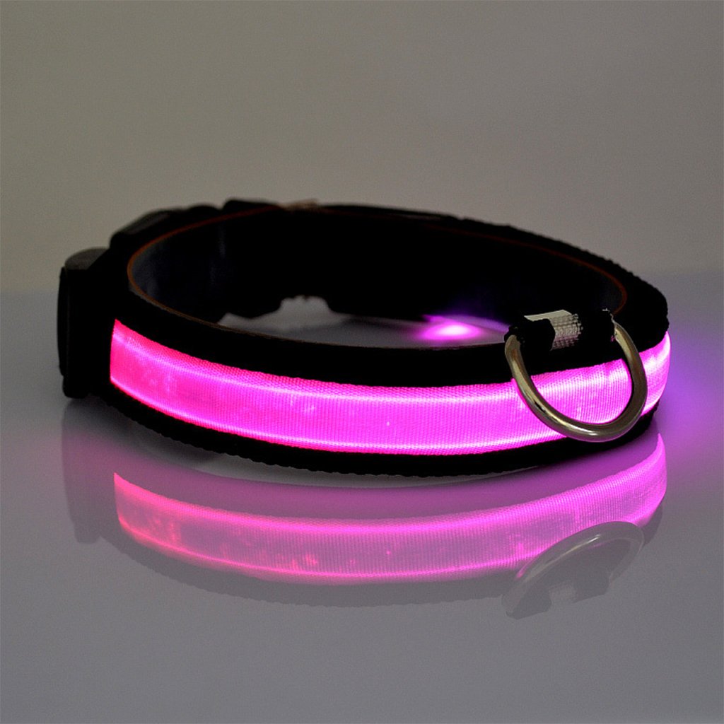 Nylon Pet Dog Collar LED Light Night Safety Light-up Flash Glowing Cat Collar Dog Collars