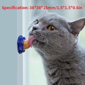 Catnip Wall Ball Healthy Cat Snacks Catnip Sugar Candy Licking Nutrition Gel Energy Ball Toy