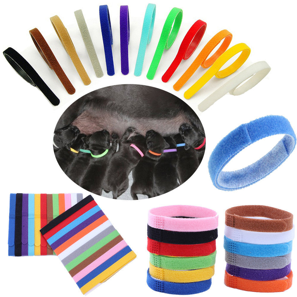 12 Colors ID Collars Pet