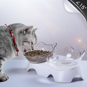 Pet Cat Bowl