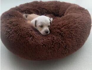 Pet Bed Comfortable