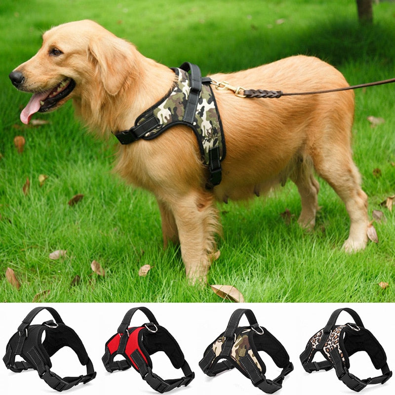 Heavy Nylon Dog Pet Harness, Adjustable Collar