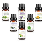 Load image into Gallery viewer, Pyrrla 6 pieces/set with Gift box 10ml Pure Essential Oil Aromatherapy Humidifier Lavender Rosemary Peppermint Orange Plant Oil
